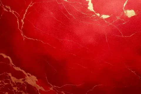 Hypertrophie des petites lèvres : tout comprendre et quelles solutions